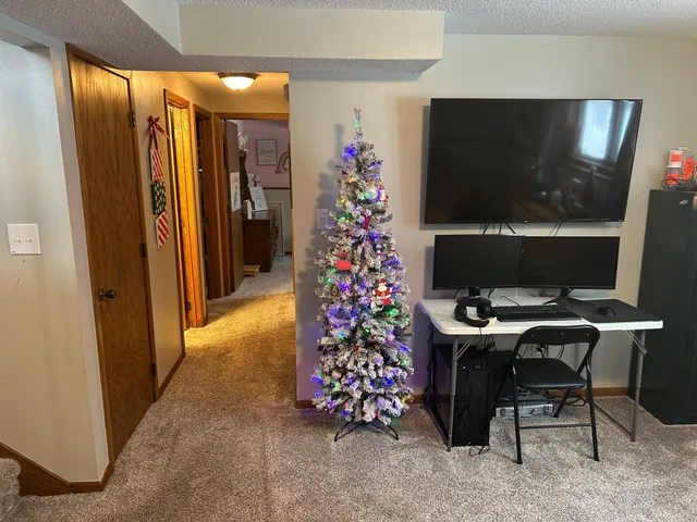 $225,000 | 604 Kaye Street, Tyler, MN 56178