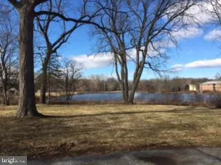 a view of a yard with large trees