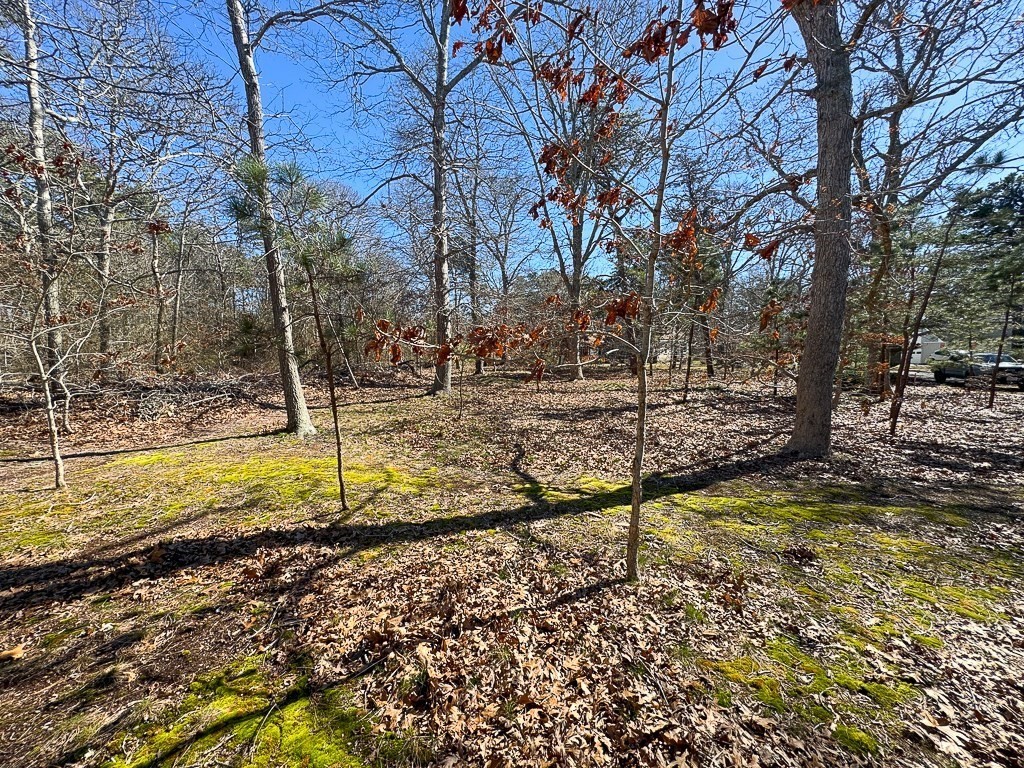 0 Robbins Hill Road Brewster, MA 02631 - Photo 8 of 16 Gallery Image 8
