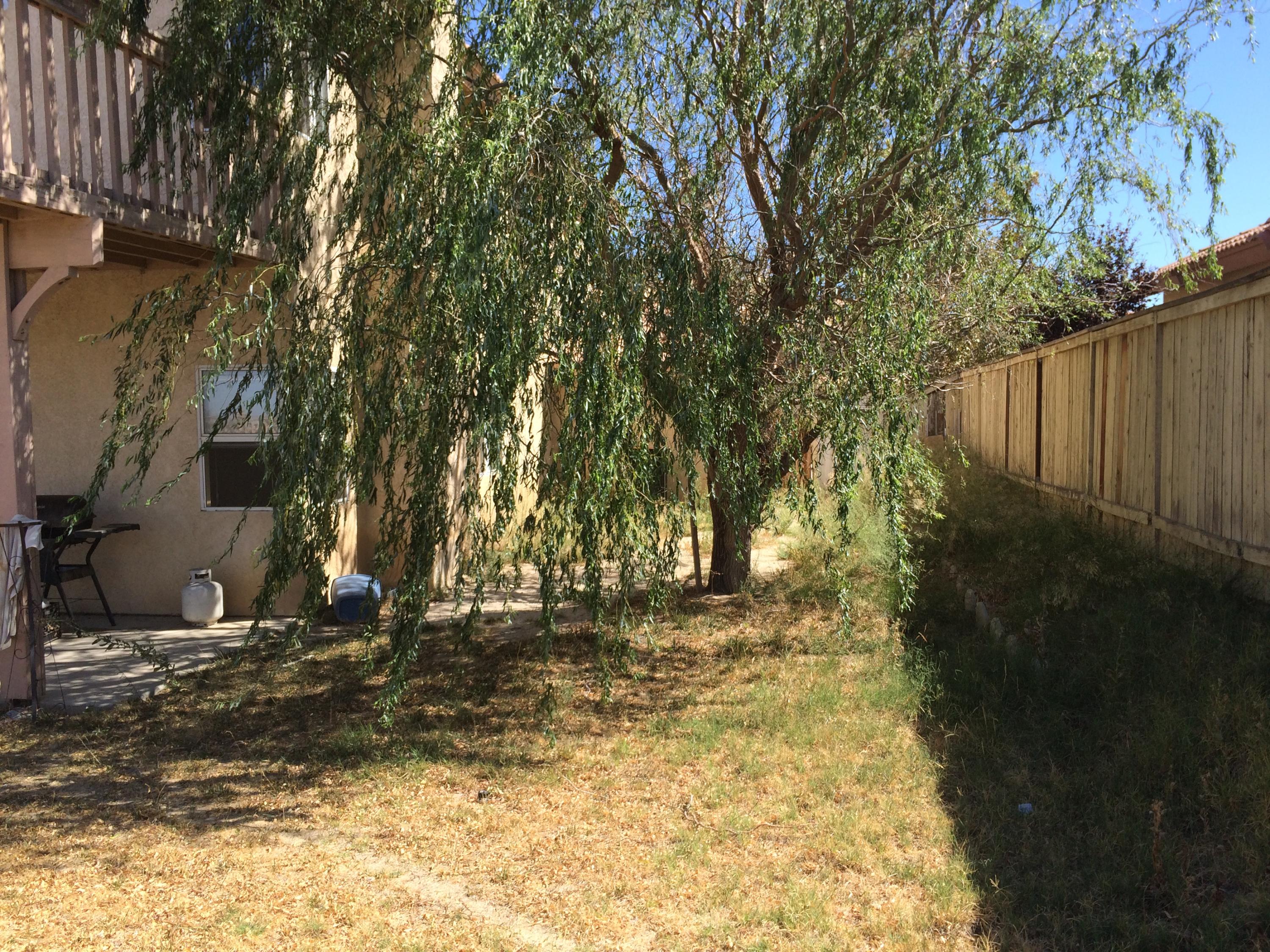 3021 Chuckwagon Road Palmdale, CA 93550 - Photo 11 of 52 IMG_8006