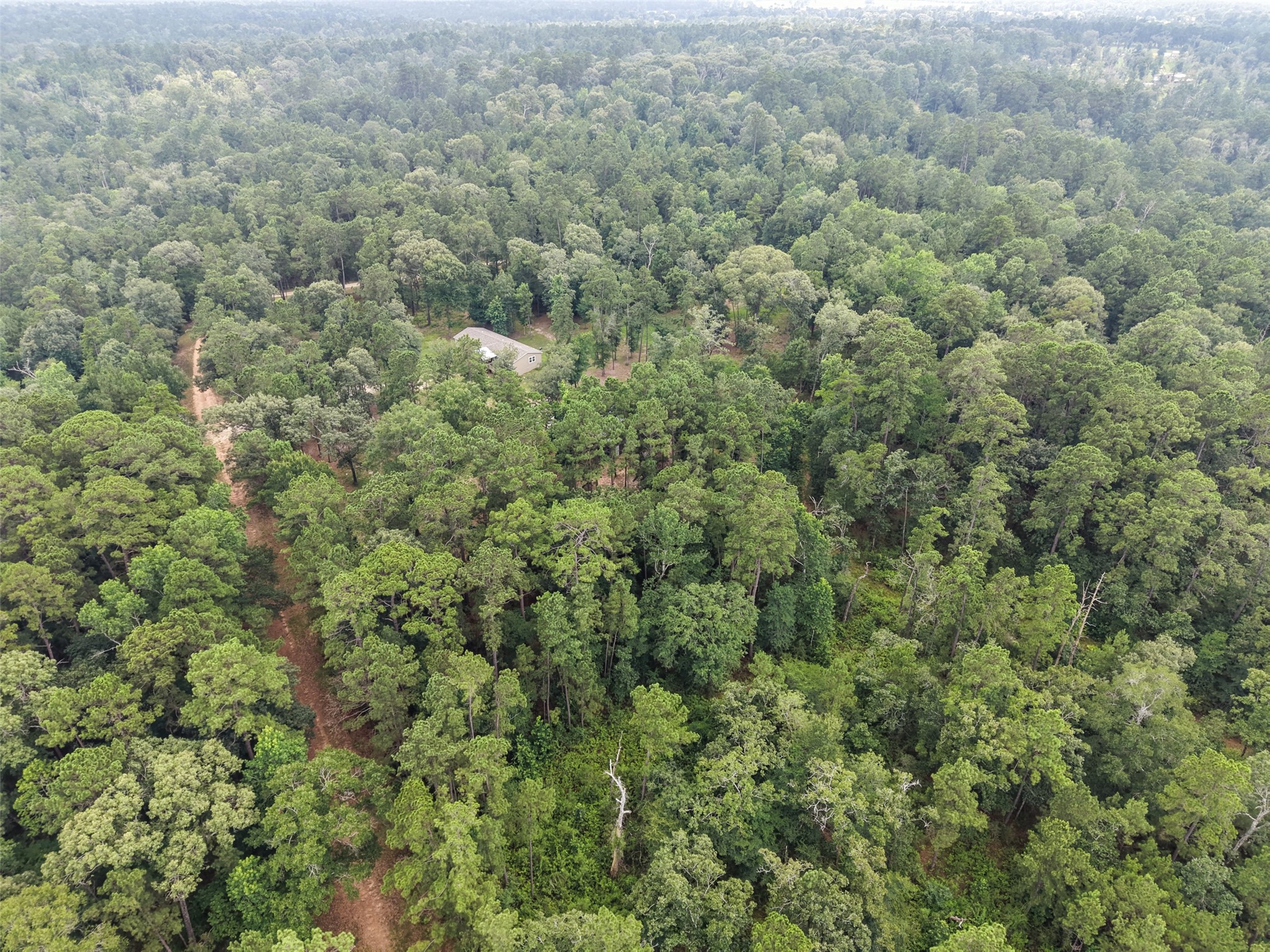 577 Winding River Road South Oakhurst, TX 77359 - Photo 28 of 44