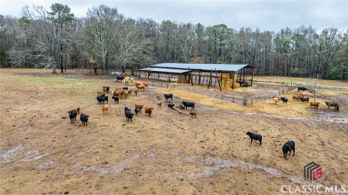 1491 Sewell Church Road Mansfield, GA 30055 - Photo 3 of 6 Gallery Image 3
