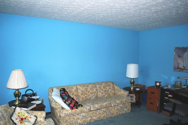 11360 Woodtown Road Galena, OH 43021 - Photo 12 of 25 Gallery Image 12