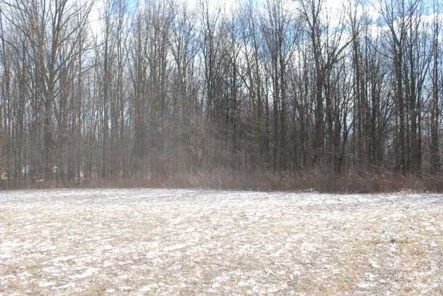 11360 Woodtown Road Galena, OH 43021 - Photo 23 of 25 Gallery Image 23