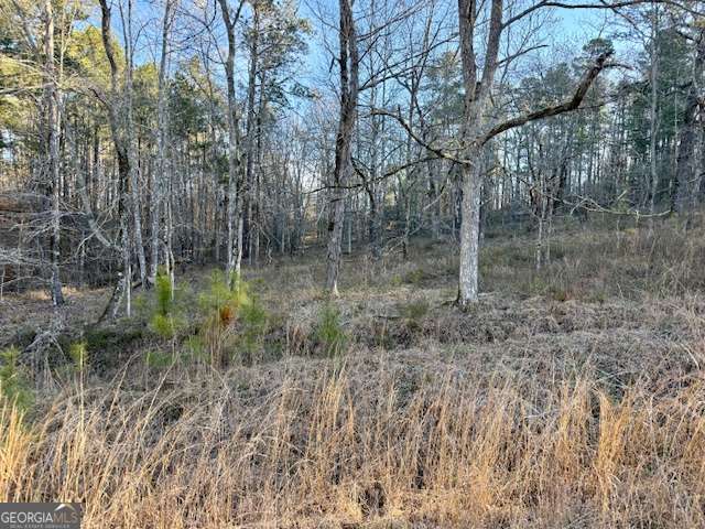 0 River Ridge Trail, Unit 396 Sparta, GA 31087 - Photo 1 of 3 a view of a forest with a house and a forest