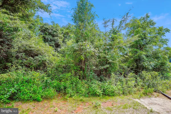 $681,900 | 20 A Eggbornsville Road, Rixeyville, VA 22737