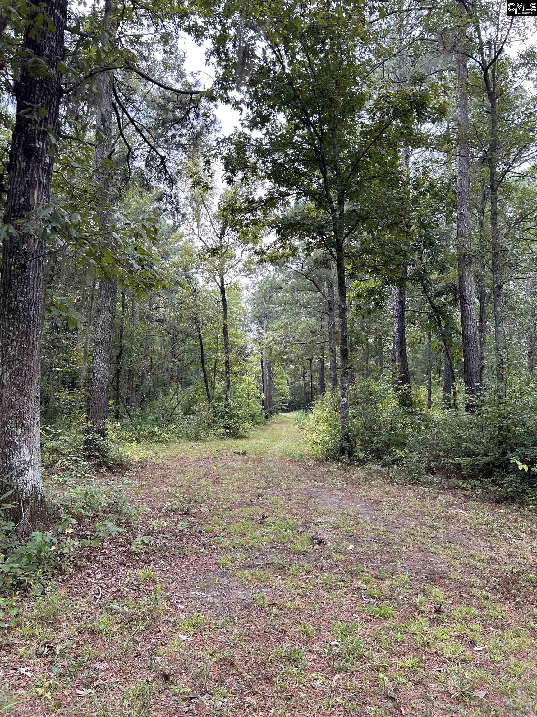 8200 Salem Road New Zion, SC 29111 - Photo 12 of 17