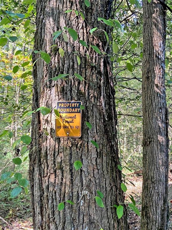 169 Dunns Road Cleveland, GA 30528 - Photo 4 of 101