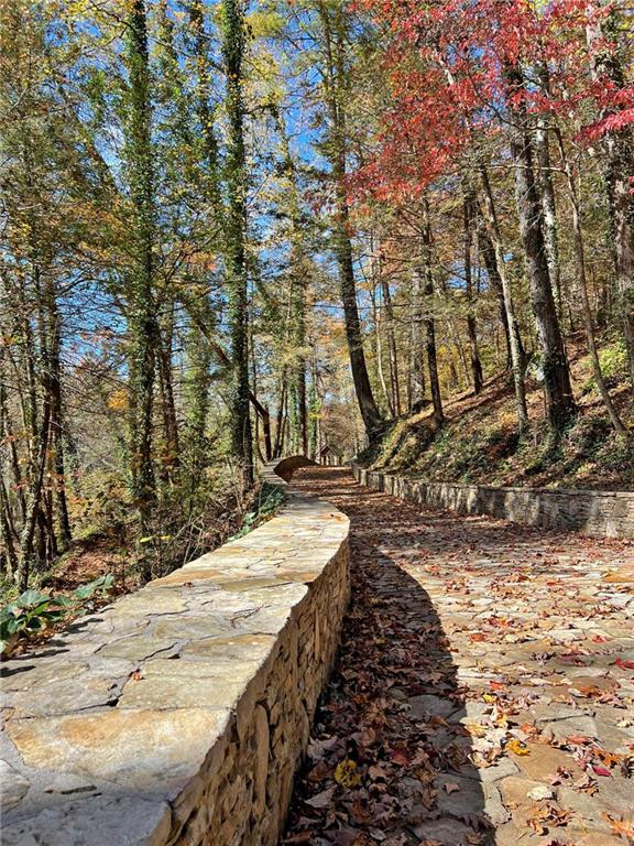 169 Dunns Road Cleveland, GA 30528 - Photo 51 of 101