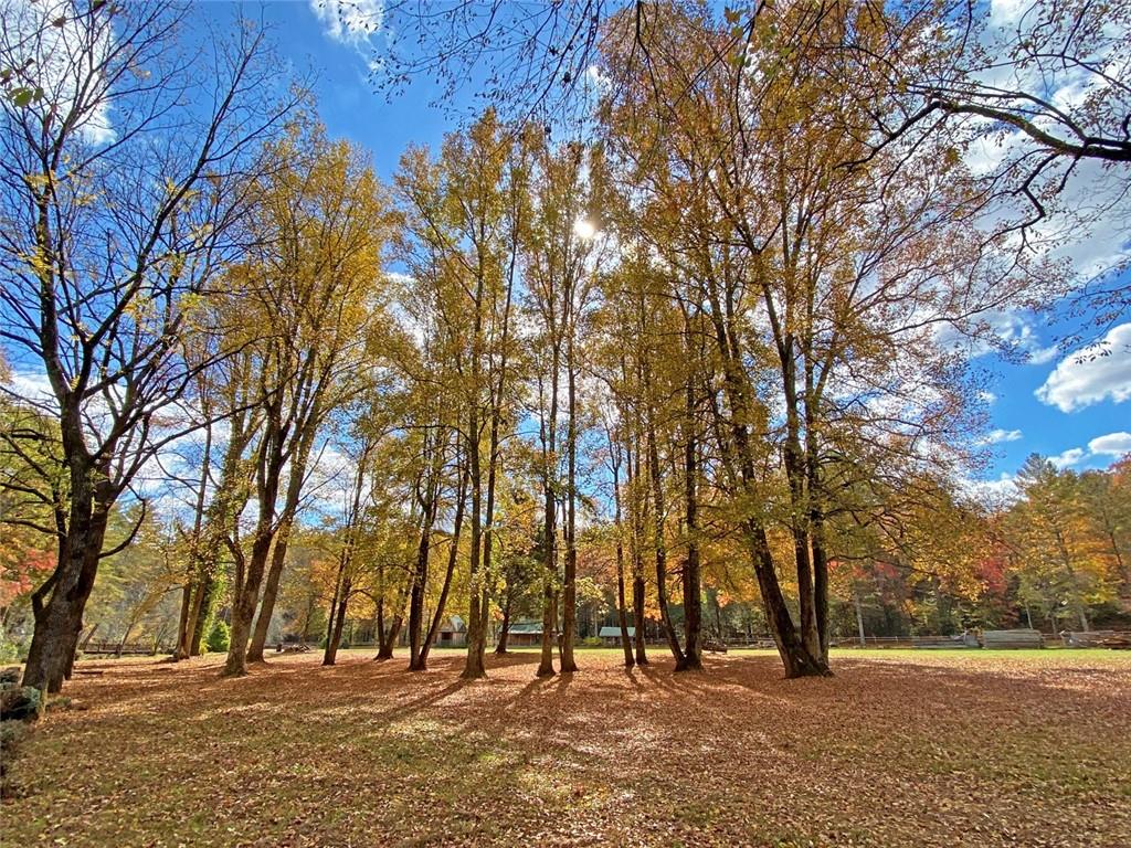 169 Dunns Road Cleveland, GA 30528 - Photo 69 of 101