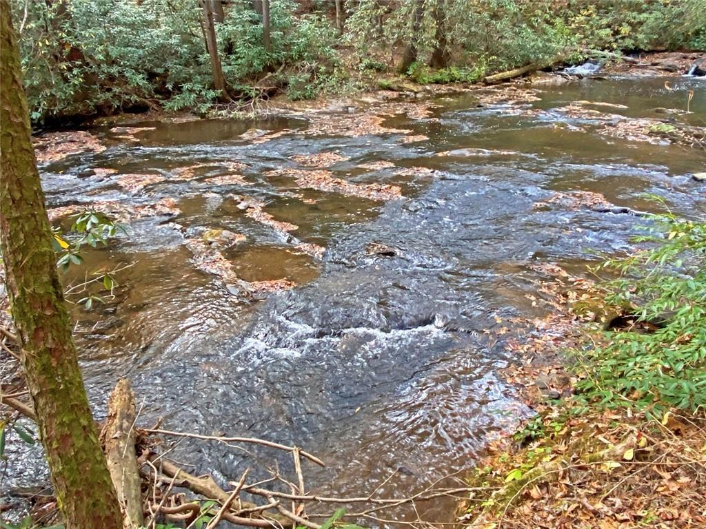 169 Dunns Road Cleveland, GA 30528 - Photo 89 of 101