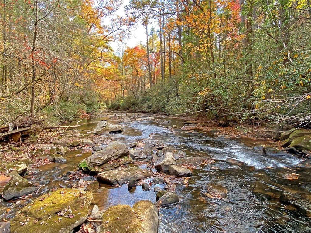 169 Dunns Road Cleveland, GA 30528 - Photo 91 of 101