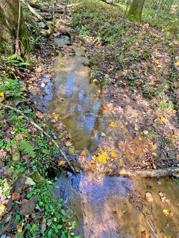 169 Dunns Road Cleveland, GA 30528 - Photo 92 of 101