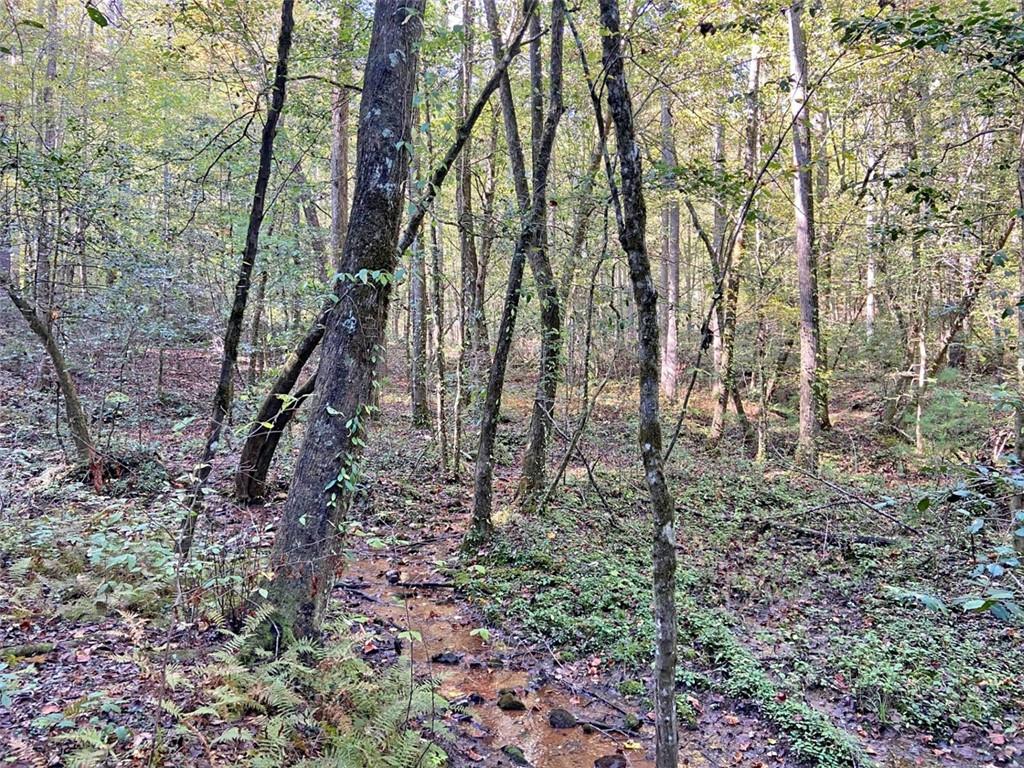 169 Dunns Road Cleveland, GA 30528 - Photo 96 of 101