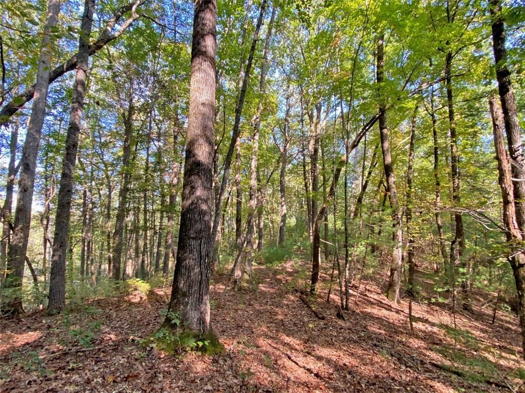 169 Dunns Road Cleveland, GA 30528 - Photo 97 of 101