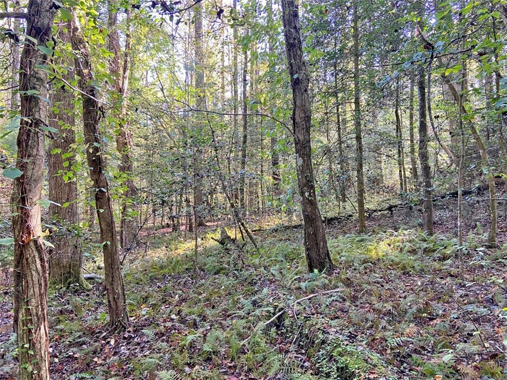 169 Dunns Road Cleveland, GA 30528 - Photo 99 of 101