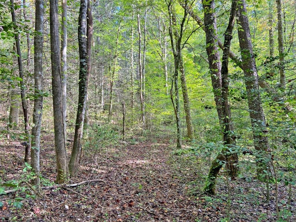 169 Dunns Road Cleveland, GA 30528 - Photo 100 of 101