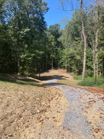 a view of a yard with plants and trees