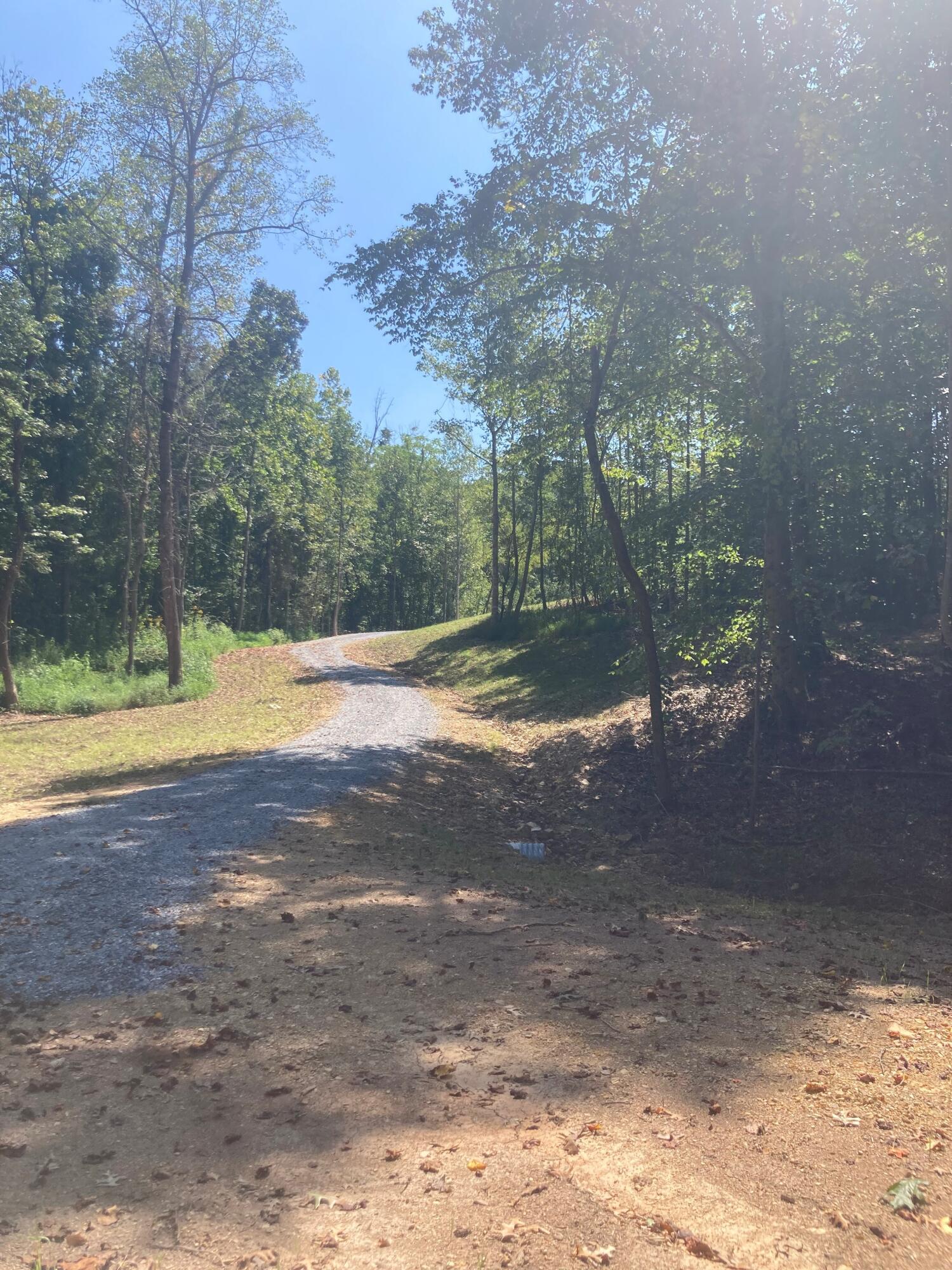 0 Creasy Road Blue Ridge, VA 24064 - Photo 3 of 5 a view of a yard with swimming pool