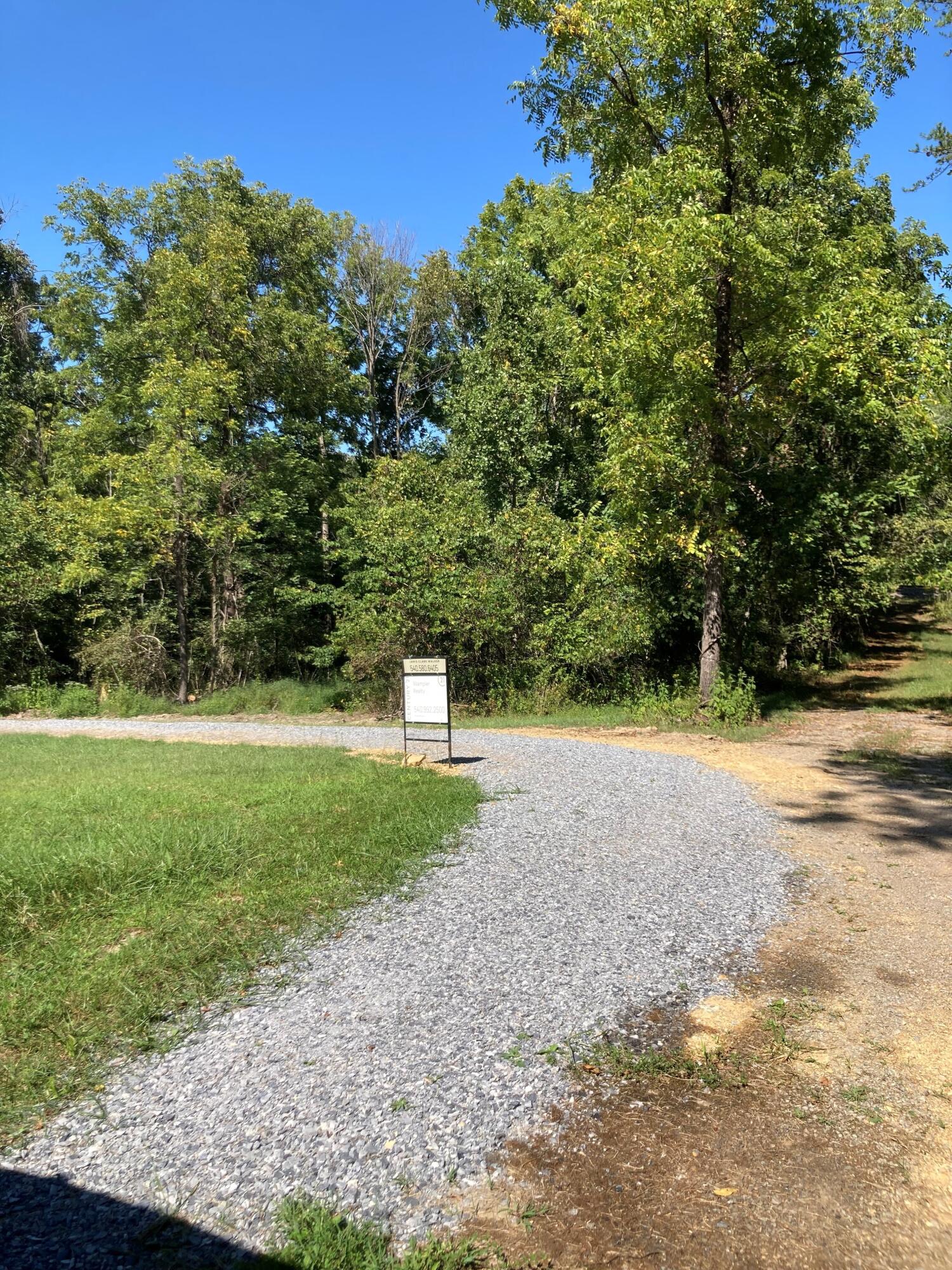 0 Creasy Road Blue Ridge, VA 24064 - Photo 4 of 5 a view of a yard with plants and trees