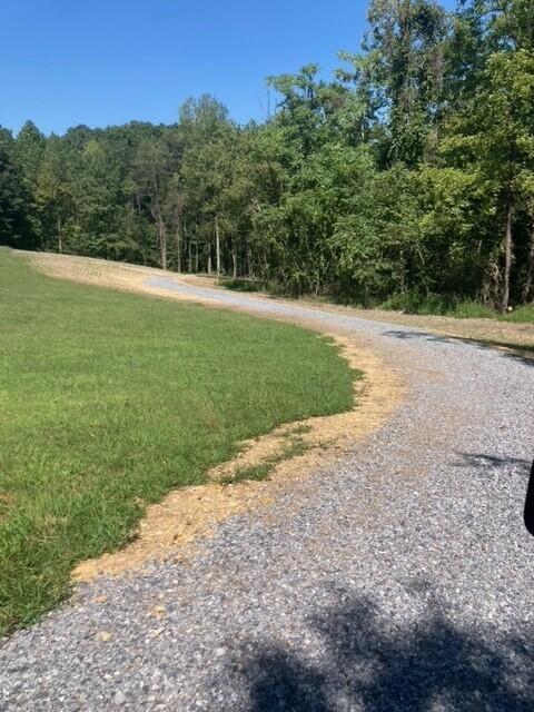0 Creasy Road Blue Ridge, VA 24064 - Photo 5 of 5 a view of a field with trees in background