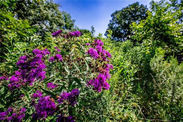 $465,000 | 7497 Nickel Road, Mound City, KS 66056