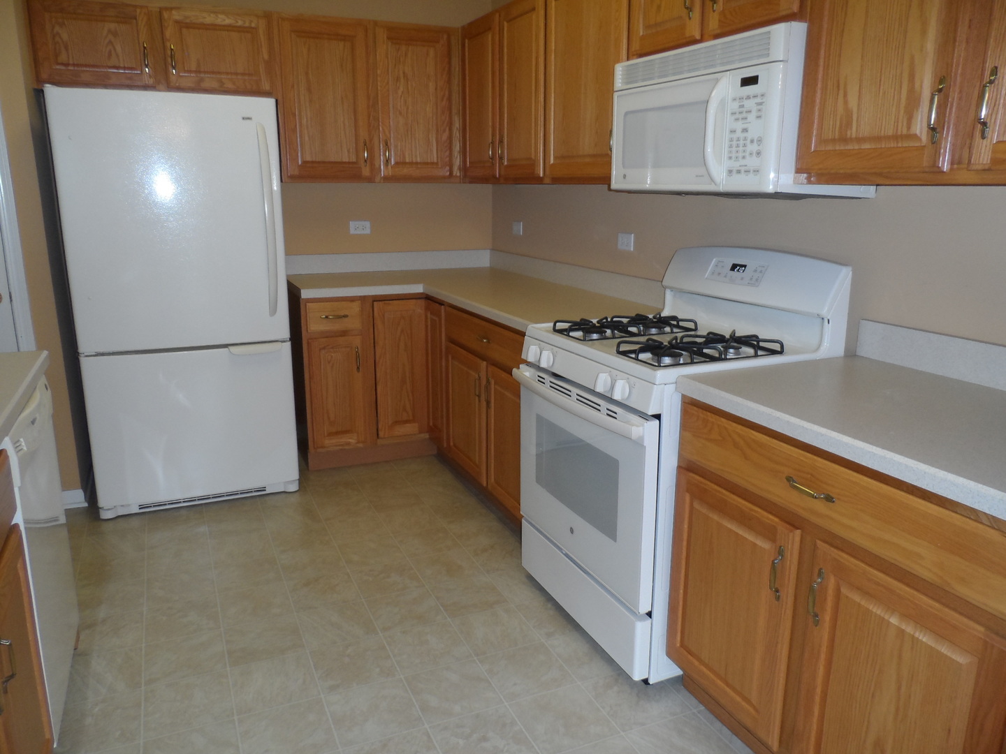 13691 Hemlock Road Huntley, IL 60142 - Photo 3 of 12
