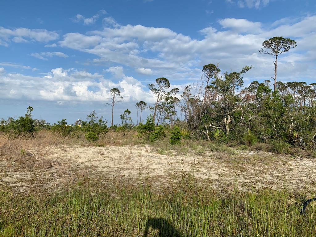 Lot 18 J's Rd Port Street Panama City, FL 32401 - Photo 2 of 5