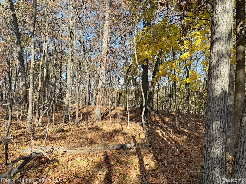 0 Northfield Road White Lake, MI 48383 - Photo 9 of 18 Gallery Image 9