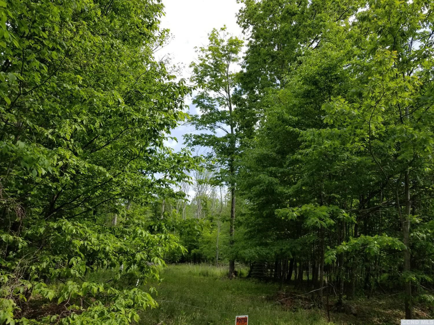 0 Zinno Road Windham, NY 12496 - Photo 2 of 13 Photo 2