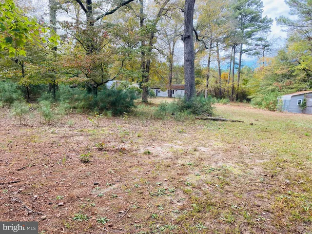 a view of a yard with a house