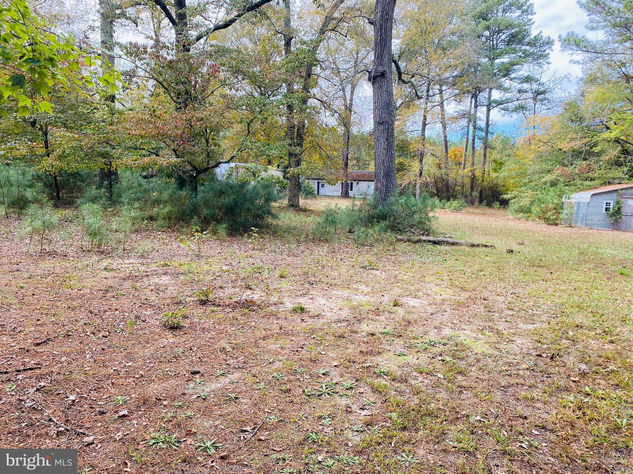 8923 Star Road Delmar, MD 21875 - Photo 17 of 34 Gallery Image 17