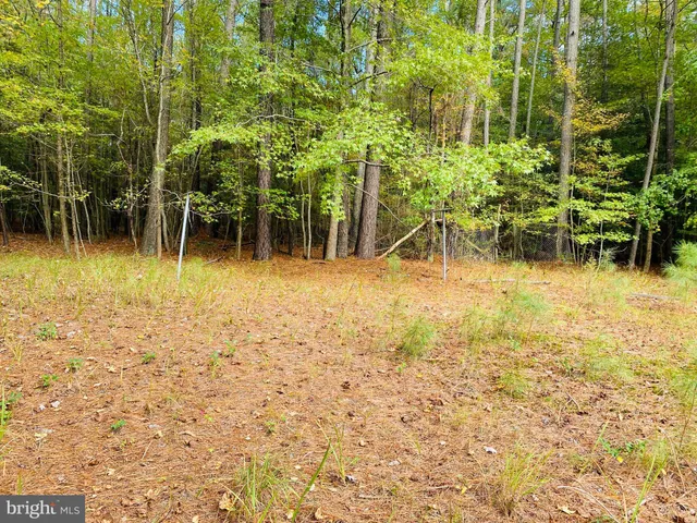 a backyard of a house with lots of green space and trees