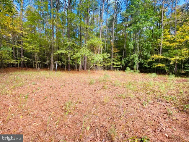 a view of backyard with wooden fence