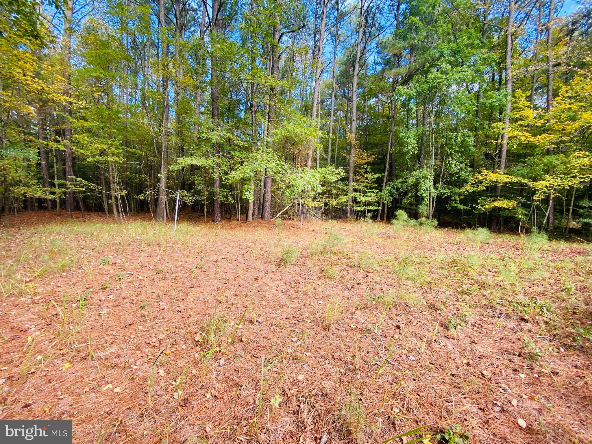 8923 Star Road Delmar, MD 21875 - Photo 20 of 34 Gallery Image 20