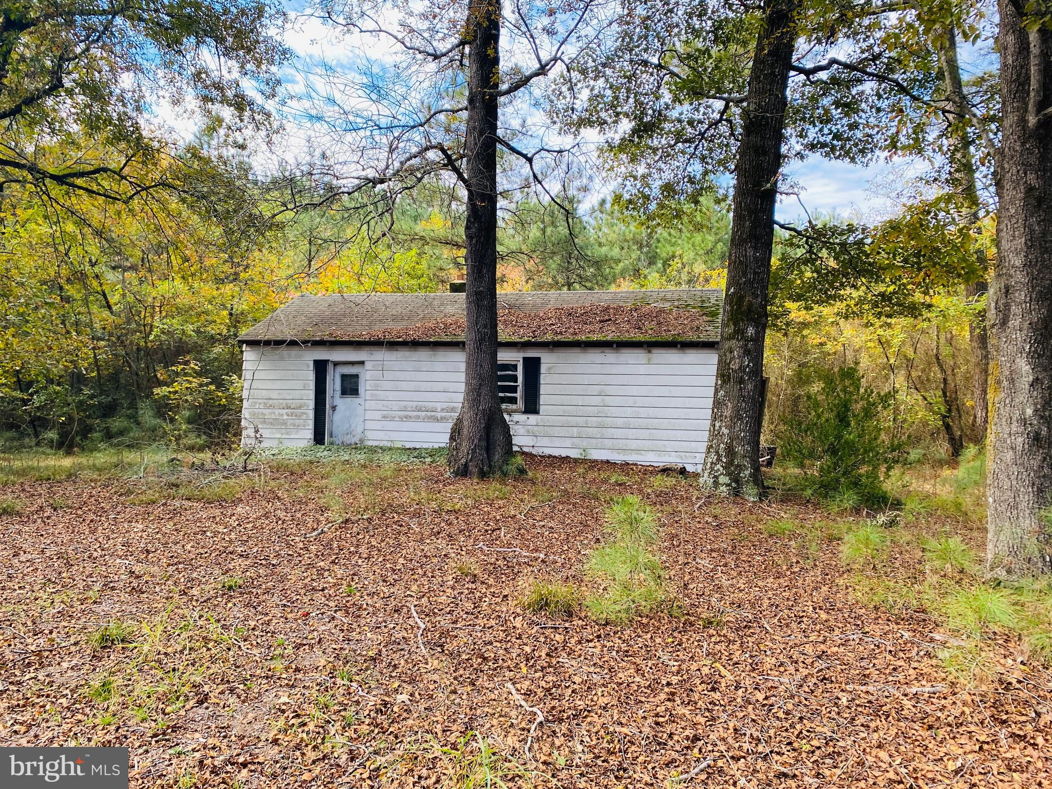 8923 Star Road Delmar, MD 21875 - Photo 22 of 34 Gallery Image 22