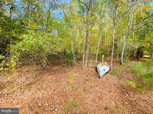 a backyard of a house with lots of green space and chair