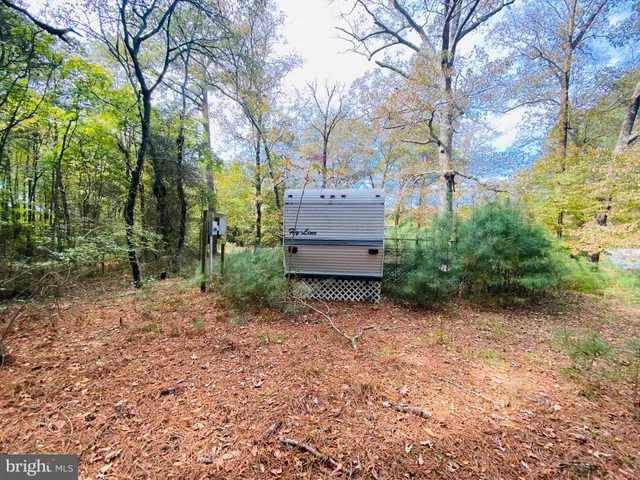a view of a yard with plants and trees