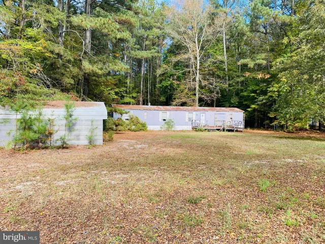 a view of a yard with an trees
