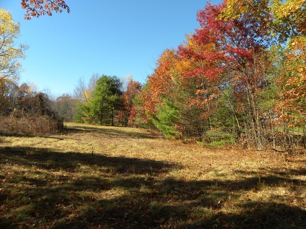 Lot 1 Baker Pond Road Dudley, MA 01571 - Photo 9 of 20 Gallery Image 9