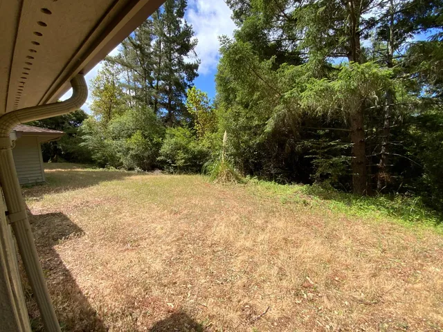 a view of backyard with green space