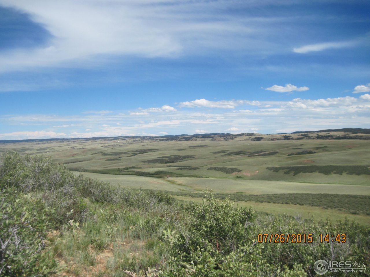0 Windy Ridge Road Red Feather Lakes, CO 80545 - Photo 12 of 24 Gallery Image 12