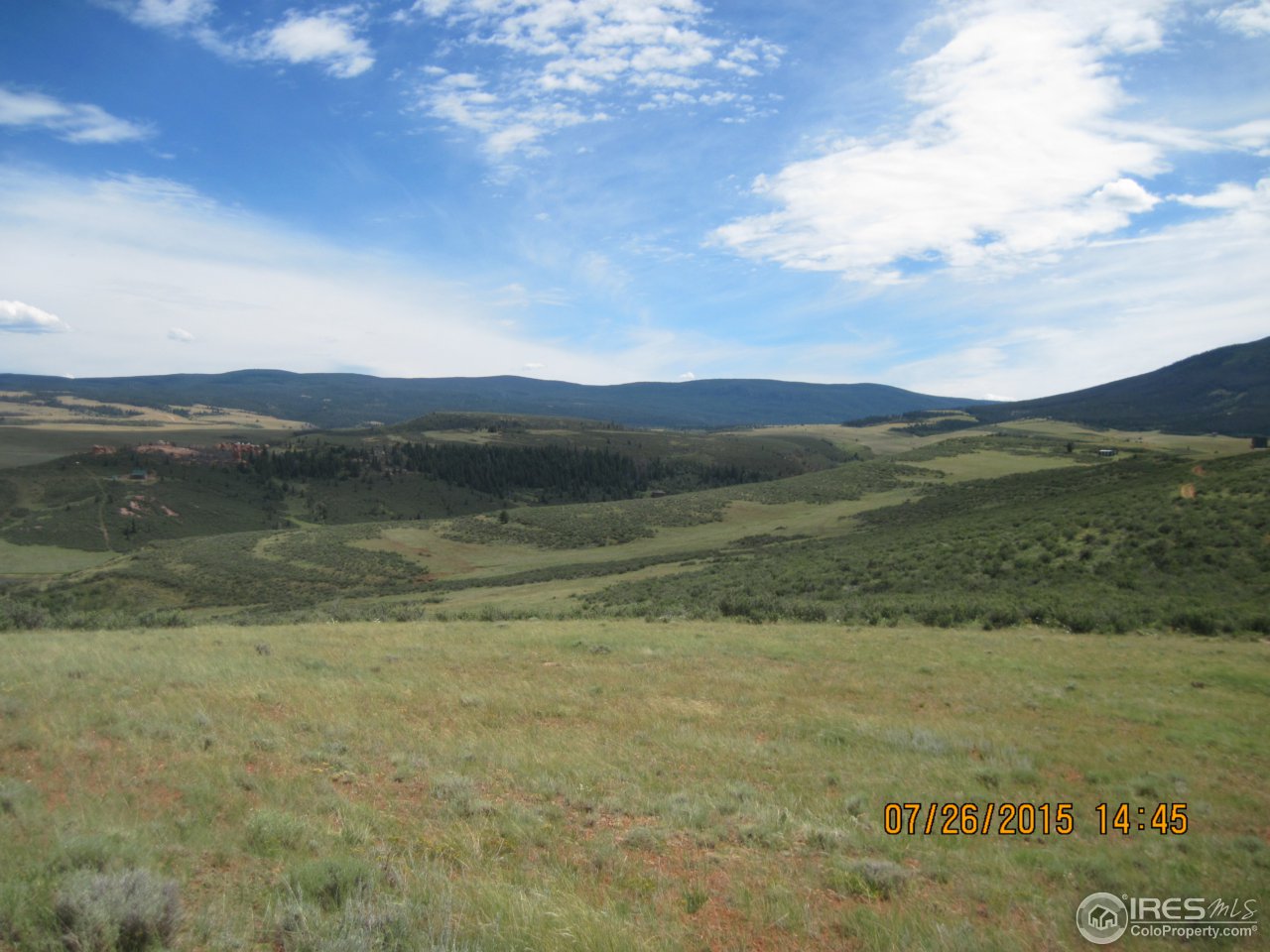 0 Windy Ridge Road Red Feather Lakes, CO 80545 - Photo 13 of 24 Gallery Image 13
