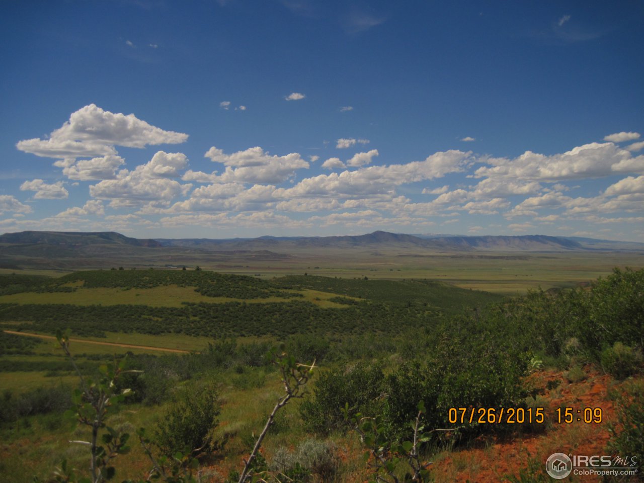 0 Windy Ridge Road Red Feather Lakes, CO 80545 - Photo 18 of 24 Gallery Image 18