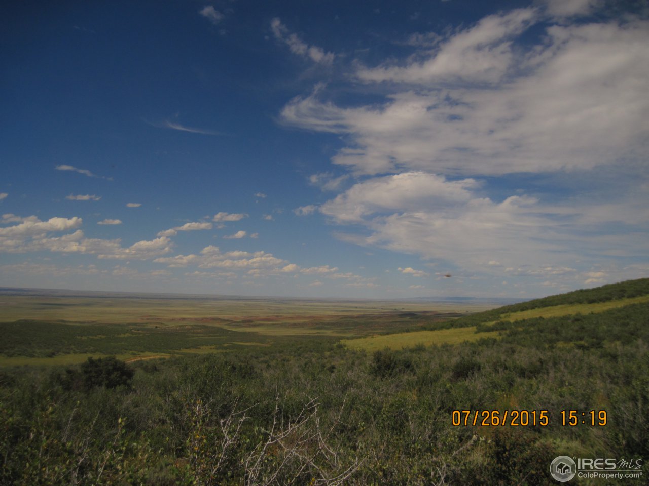 0 Windy Ridge Road Red Feather Lakes, CO 80545 - Photo 23 of 24 Gallery Image 23