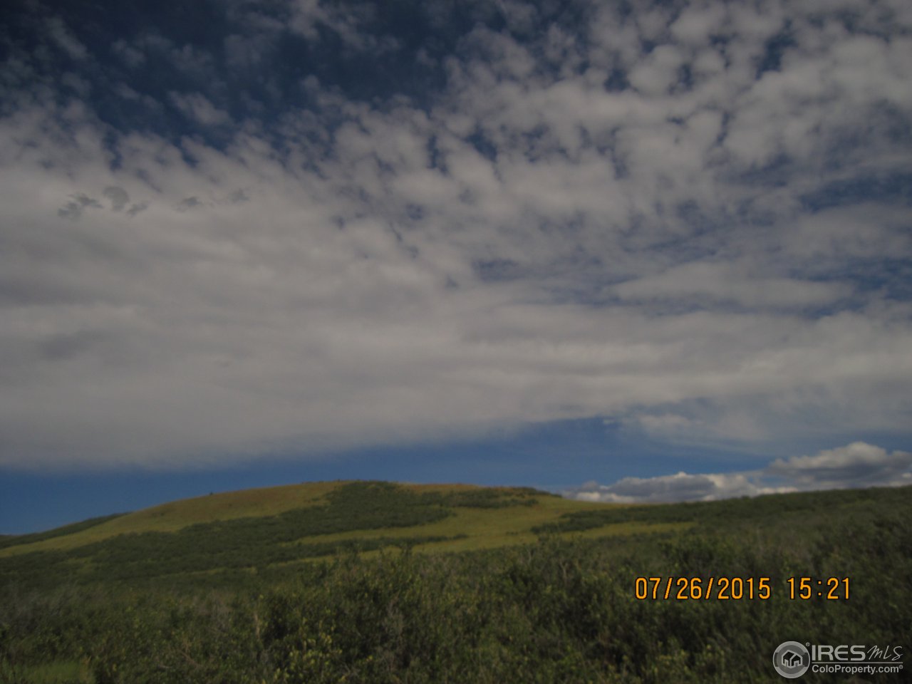 0 Windy Ridge Road Red Feather Lakes, CO 80545 - Photo 3 of 24 Gallery Image 3