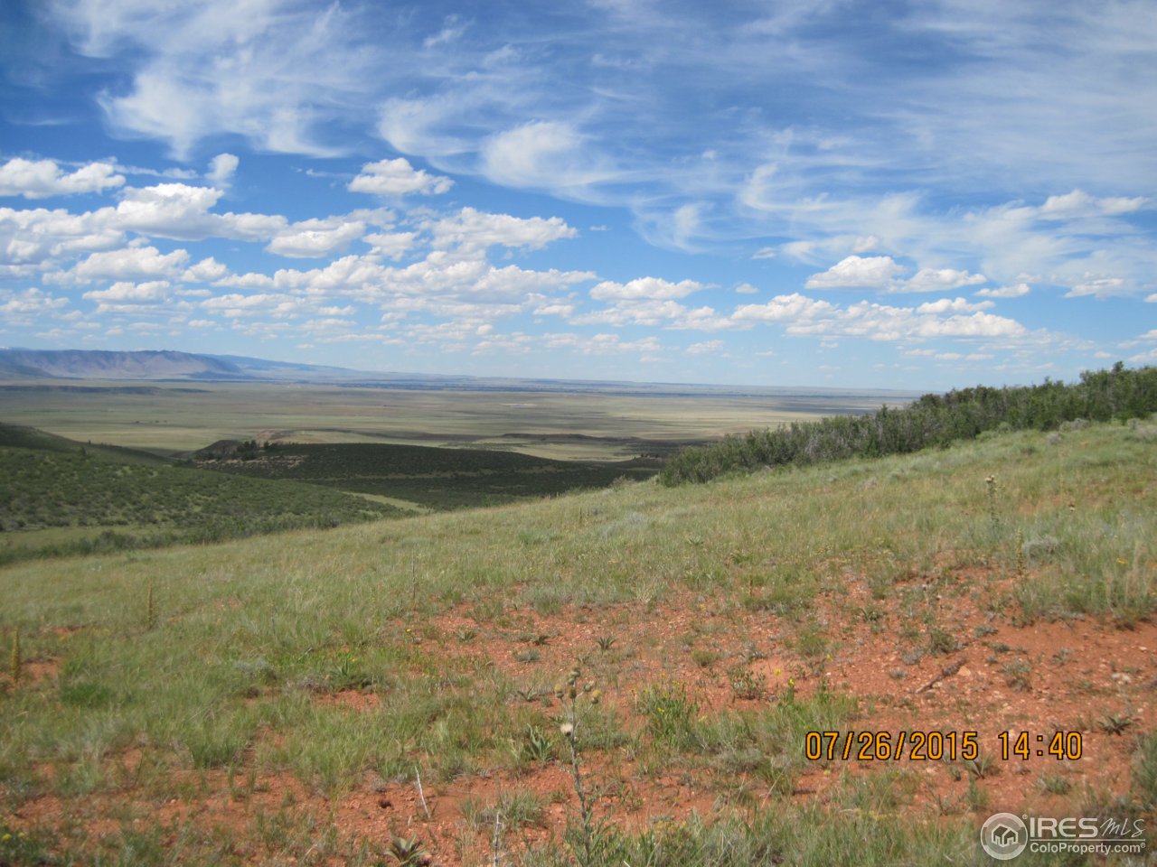 0 Windy Ridge Road Red Feather Lakes, CO 80545 - Photo 4 of 24 Gallery Image 4