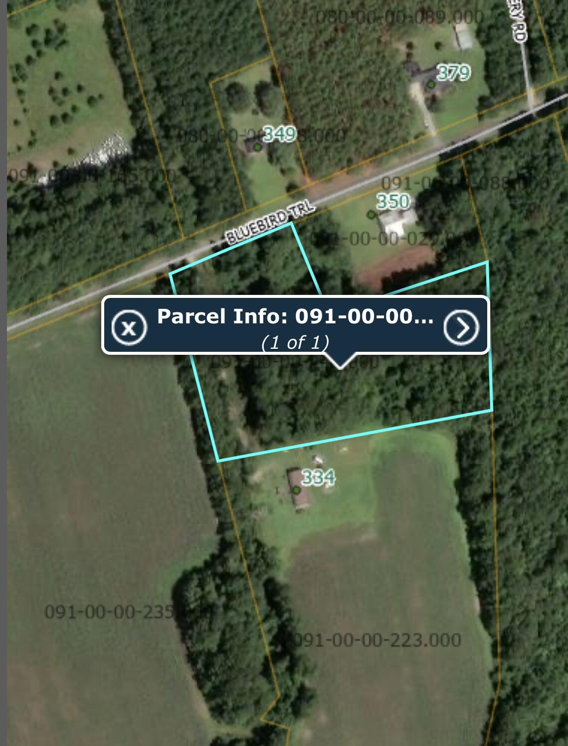 0 Bluebird Trail St. George, SC 29477 - Photo 2 of 6 IMG_4877