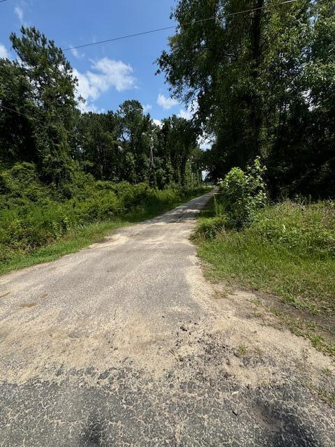 0 Bluebird Trail St. George, SC 29477 - Photo 4 of 6 IMG_6789