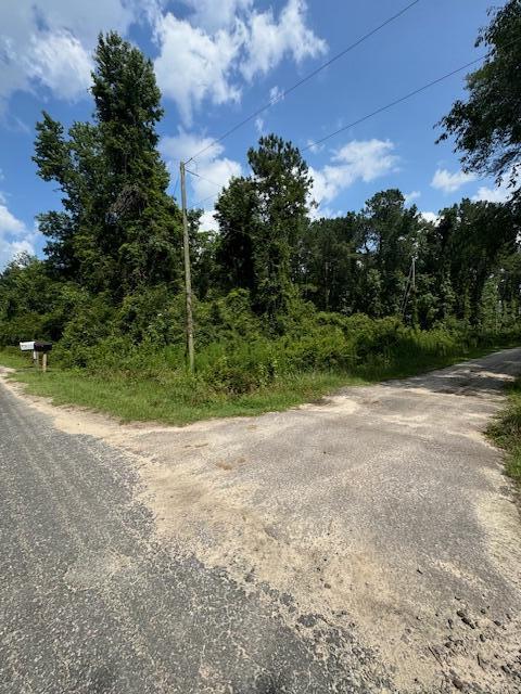 0 Bluebird Trail St. George, SC 29477 - Photo 5 of 6 IMG_6790